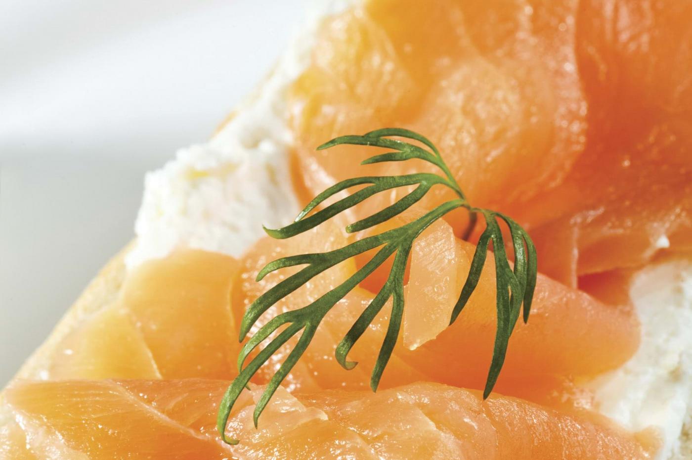 QDa-agroalimentaire-saumon