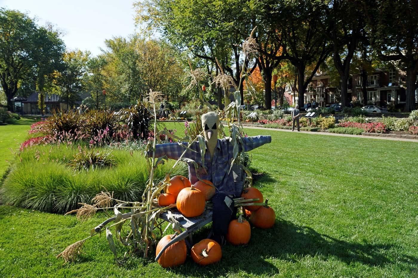 QDa_halloween_epouvantail.jpg