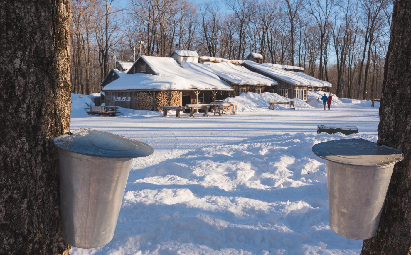 Sugar shack in Québec City 