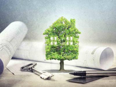 QDa-quebec-international-quebox-bois-arbre-1400x900