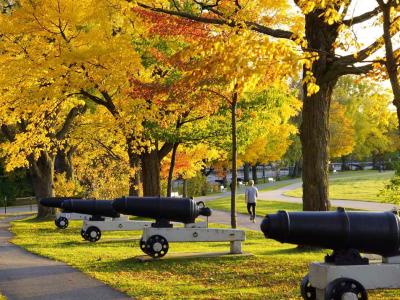 QDa_plaines_automne_entete.jpg (1)