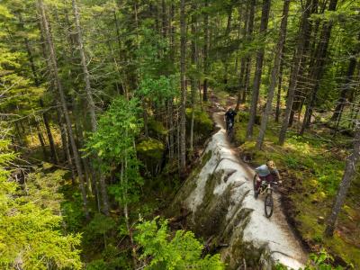 Vélo de montagne