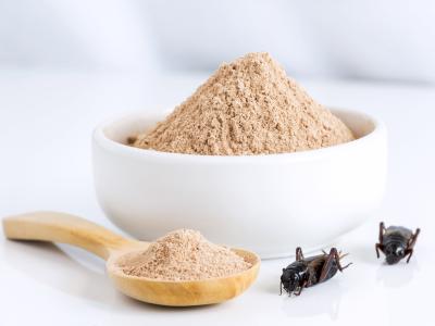 insects flour