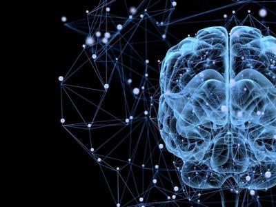 Image d'un cerveau