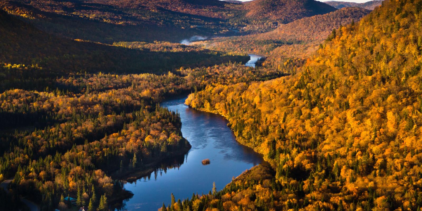 Aerial view of the Jacques Cartier Park during fall