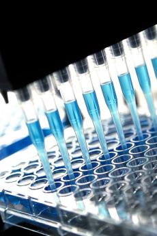 QDa-sciences-vie-qc-international-1400x900
