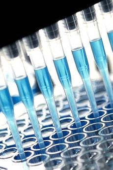 QDa-sciences-vie-qc-international-1200x627