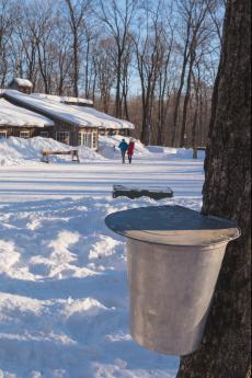 Sugar shack in Québec City 