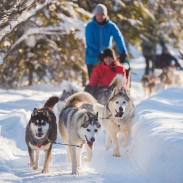 Dogsledding