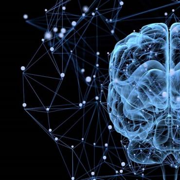Image d'un cerveau